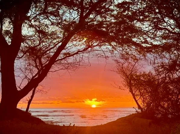 1210 Uluniu Rd #1, Kihei, HI 96753