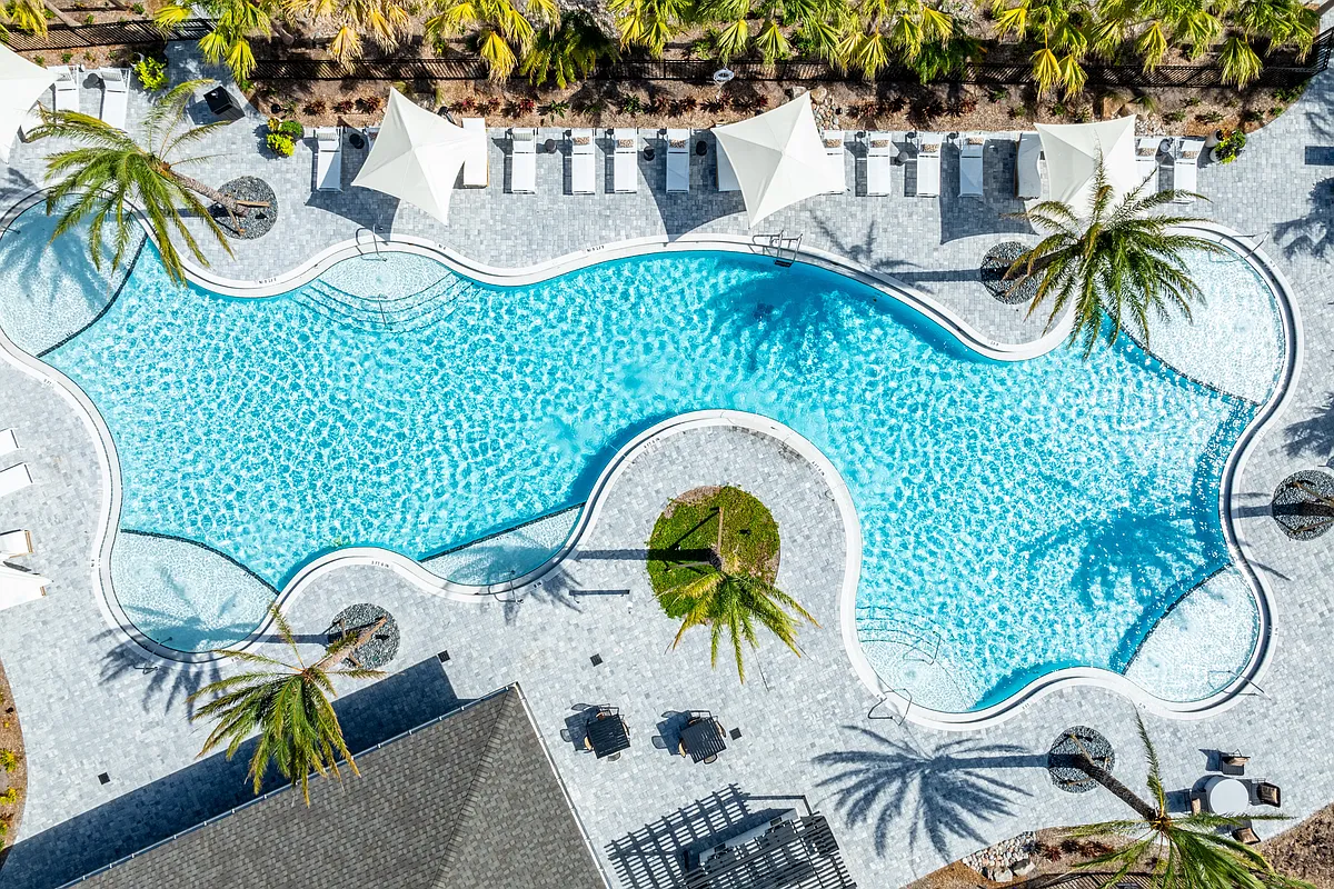 Resort-Style Salt-Water Pool with Sun Shelf - Olana Waterside
