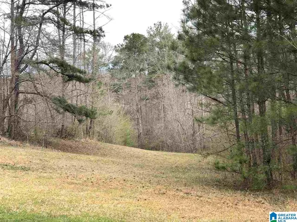 1715 Cook Springs Rd #1, Pell City, AL 35125