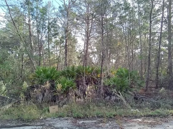 Fisher Trail Ter Lot 3, Ocklawaha, FL 32179