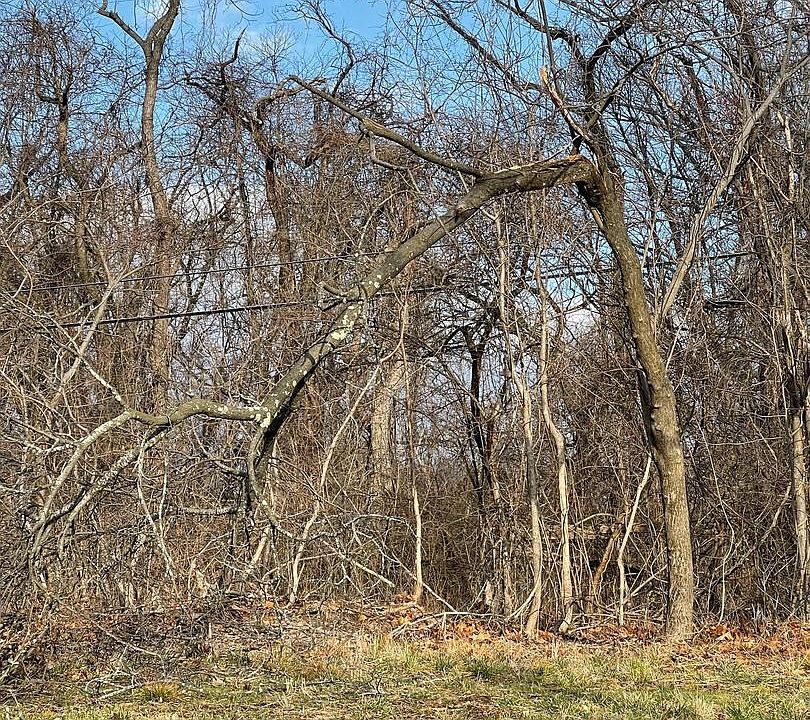 2nd image of 0 Isaac Alley Rd