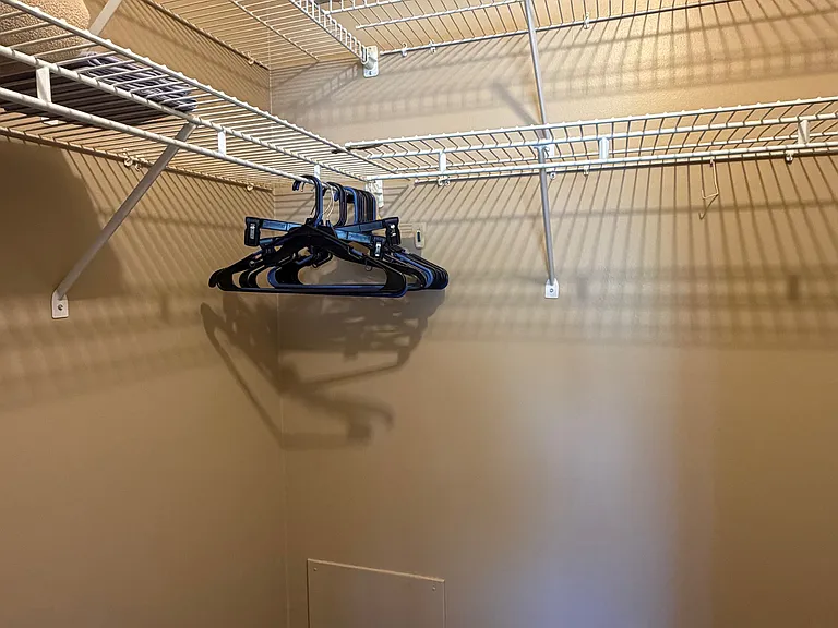 Guest Bedroom walk-in closet