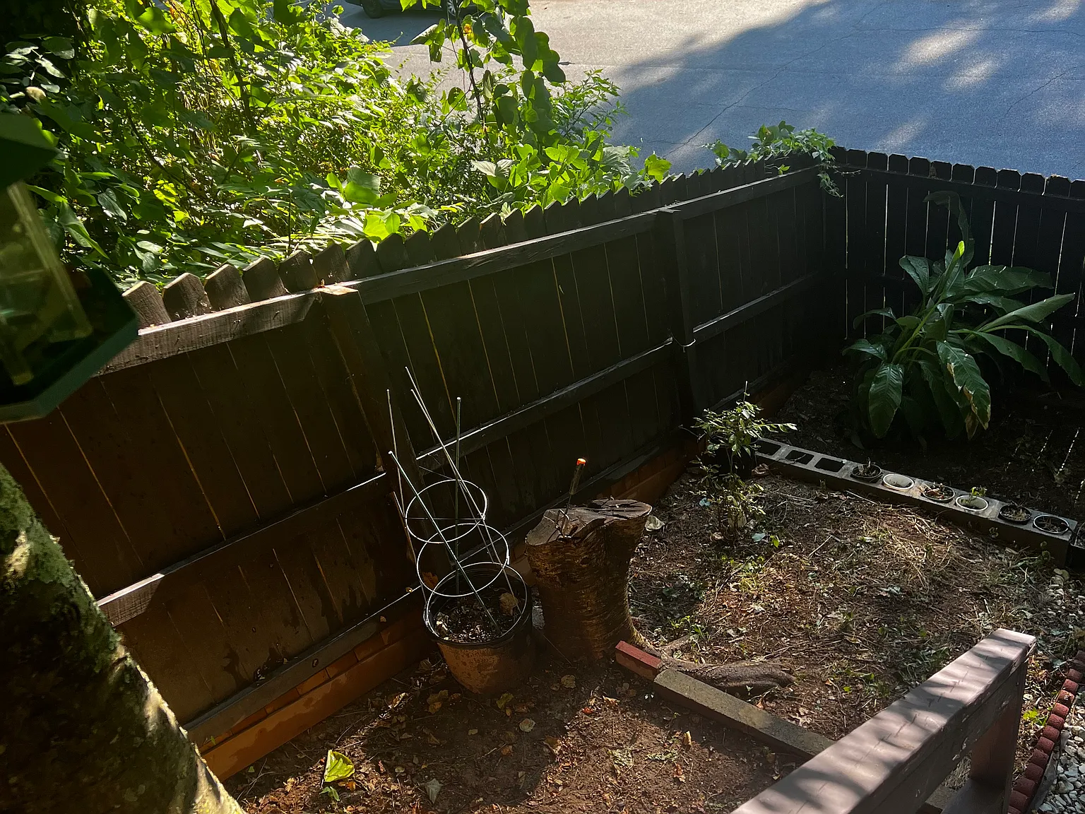 335 Towergate Pl — Photo 2