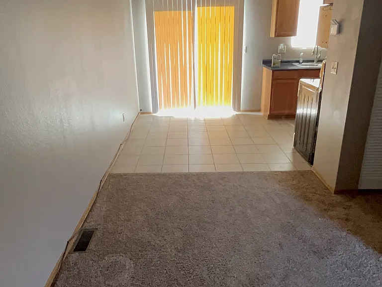 1359 Soaring Eagle Dr — Photo 17