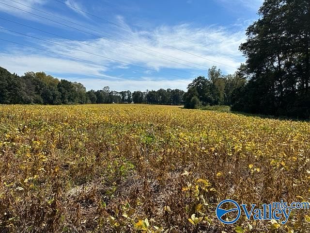 2nd image of 8.28 Alabama Hwy #69