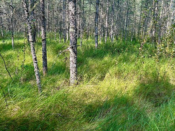 3rd image of 10179 W Town Line Rd