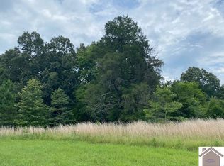 55 Briarfield Rd, Murray, KY 42071