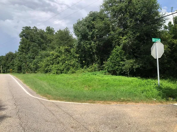 17 Acres Hwy #125, Brundidge, AL 36010