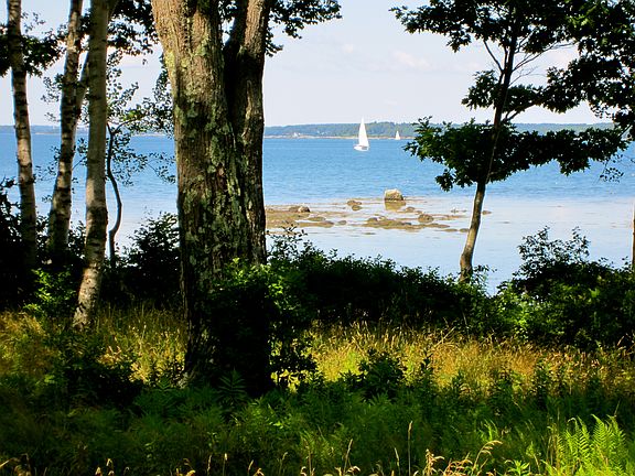 View SE from bldg. site