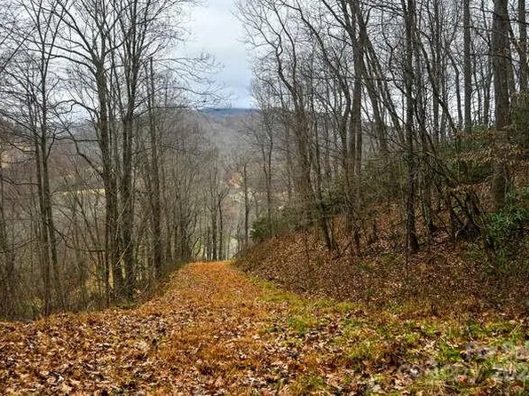 19 Flowing Hills Dr #20, Clyde, NC 28721