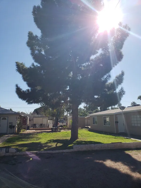 2 bed, 800 sqft, $1,500 — Photo 1