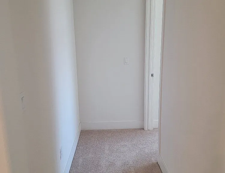 3035 Salt Wash Way — Photo 48