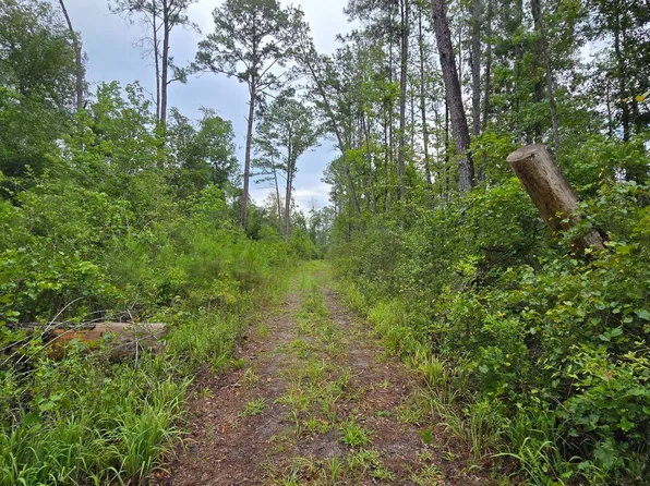 16 NW 16th St, Jasper, FL 32052