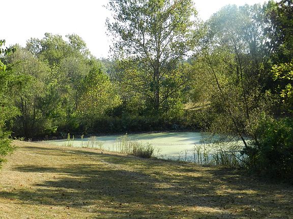 5th image of 9999 Lake Hill Dr