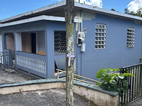 14 Bo Palo Hincado, Barranquitas, PR 00794