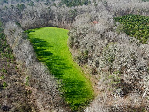 5th image of 0 Dallas County Rd #324