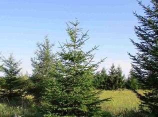 N Jeffs Rd, Merritt, MI 49667