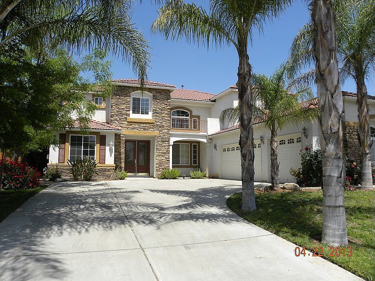 beautiful palm trees