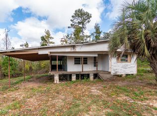 4073 Little Dothan Rd, Sneads, FL 32460