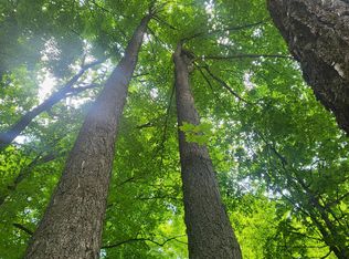 Winding Trl, Fairview, MI 48621