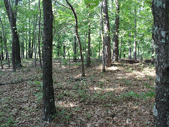 4th image of 21107 Timber Ridge Dr #107