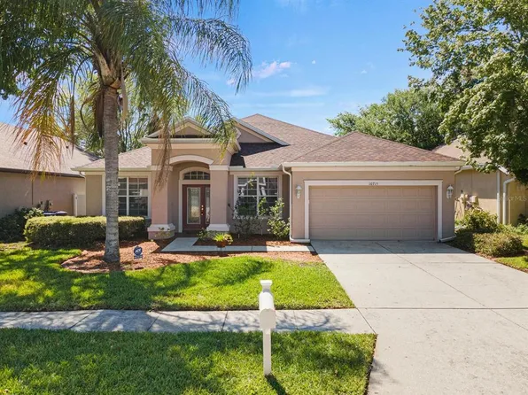 10715 Deerberry Dr, Land O Lakes, FL 34638