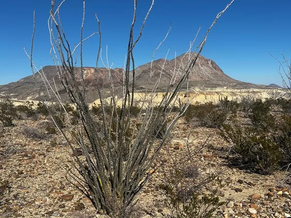 39 Creekview, Terlingua, TX 79852