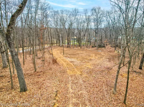Vl S Brandt Rd, Ortonville, MI 48462