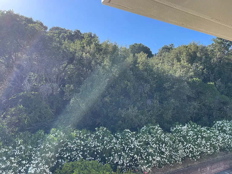 3224 Palos Verdes Ct #305 — Photo 9