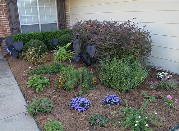 4th image of 1414 Caplin Dr