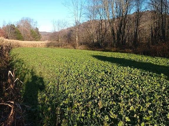 4th image of 0 Blue Creek Rd