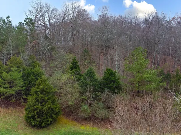 130 Vineyard Cove Dr, Loudon, TN 37774