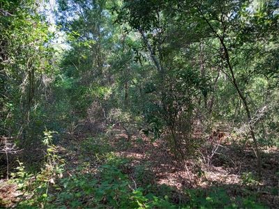 Cherry Lake Rd LOT 3, Groveland, FL, 34736