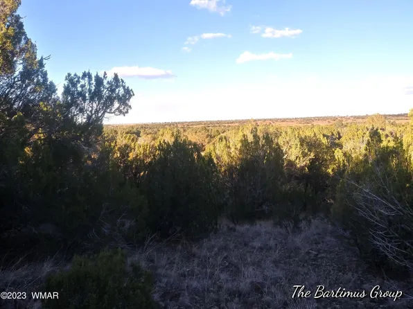 8762-8764 & #8766, Show Low, AZ 85901