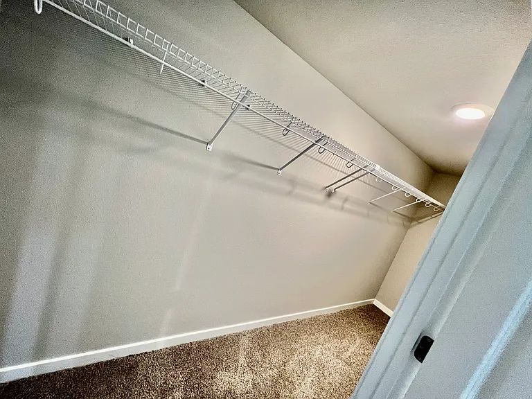 Basement Walk-in closet