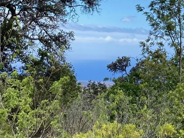 Walaka Dr Lot 4, Ocean View, HI 96737