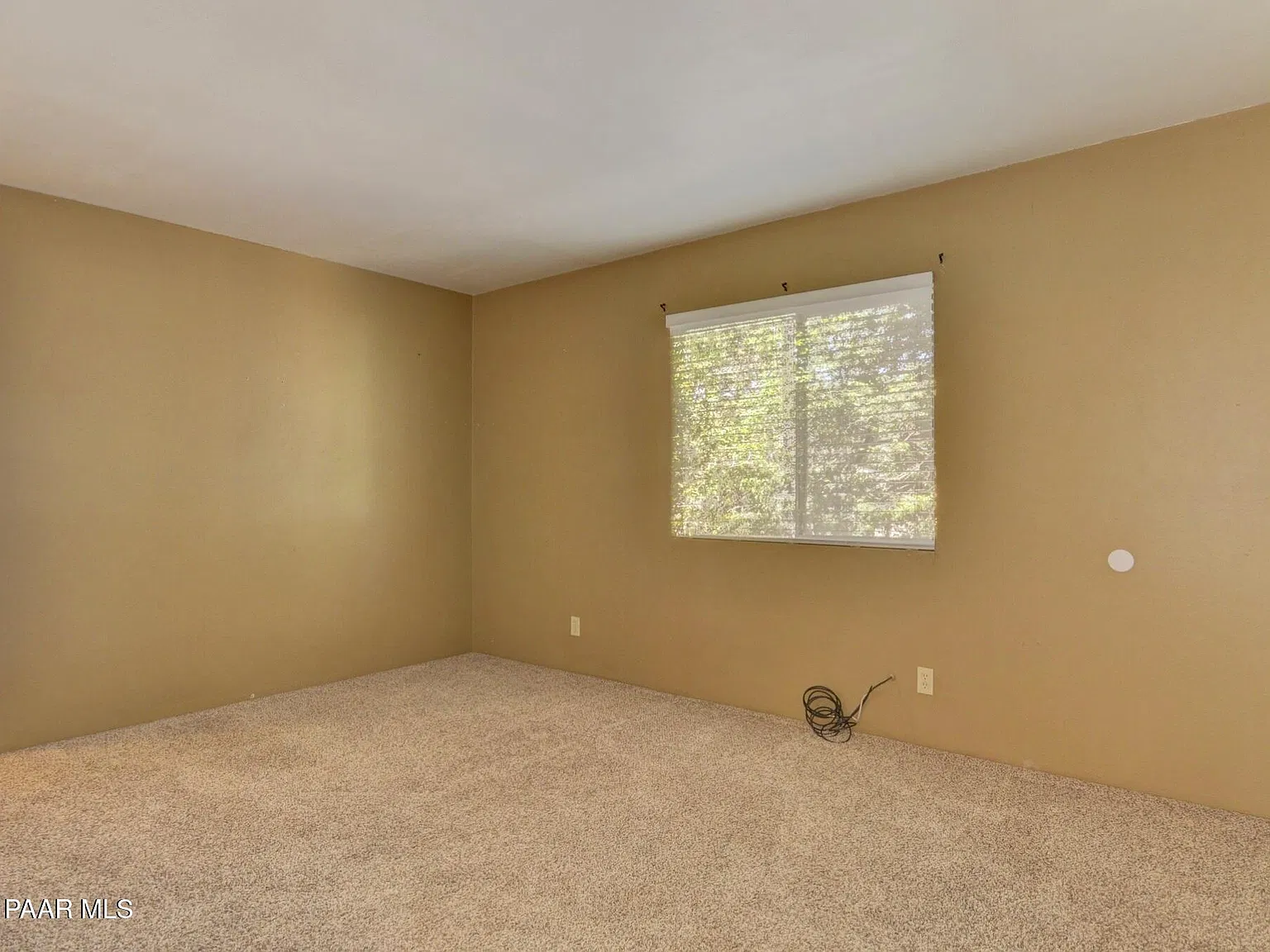2 bed, 1.0 bath, 740 sqft, $1,000 — Photo 4