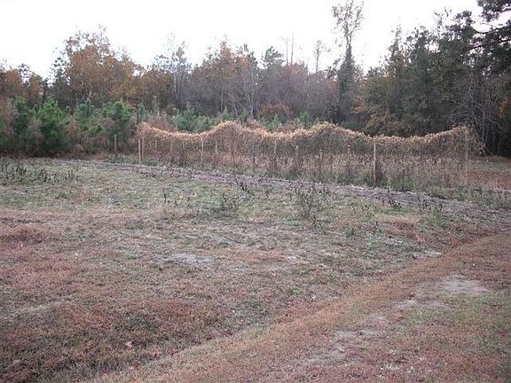 5th image of 17374 Nc Highway 33 E