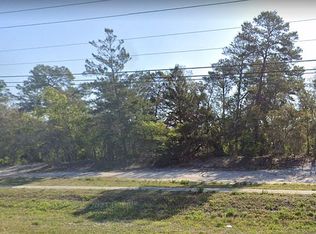 Grizzly Bear Ln, Weeki wachee, FL 34613