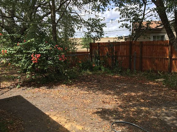back yard