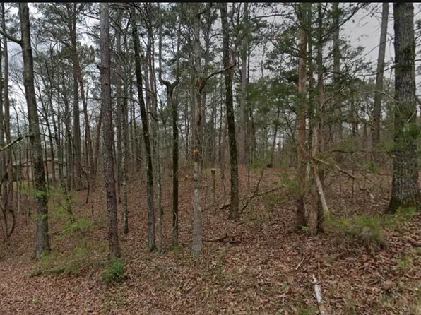 7410 Dewey Goodwin Rd #0, Pinson, AL 35126