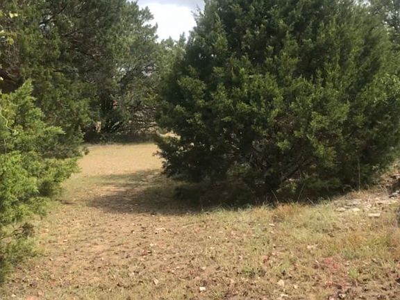 3rd image of 26709 Timberline Dr