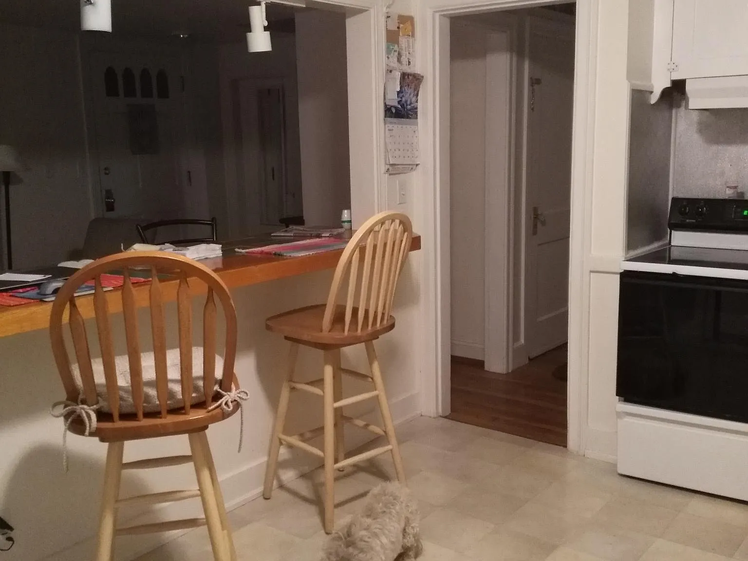 21 Dixon Ave — Photo 3