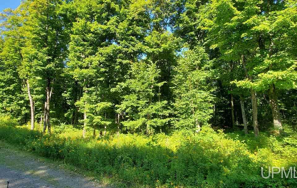 Little Smoky 18, Iron River, MI 49935 MLS 50077938 Zillow