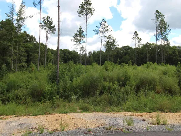 22 Grant County Rd #763, Sheridan, AR 72150