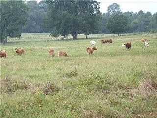 3rd image of 3015 Highway 221 S
