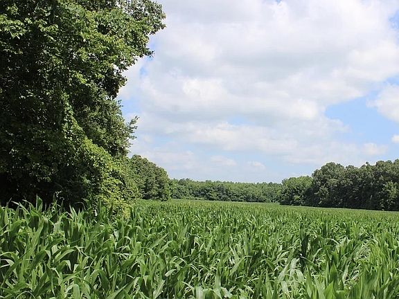 4th image of 0 Dorse Rd