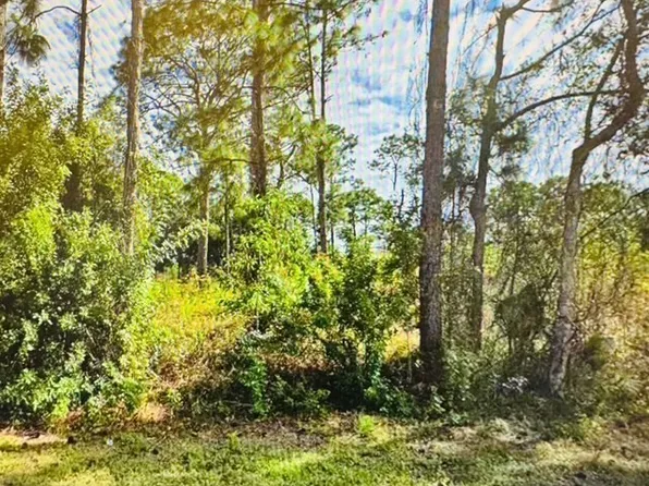 221 Victoria Ave S, Lehigh Acres, FL 33974