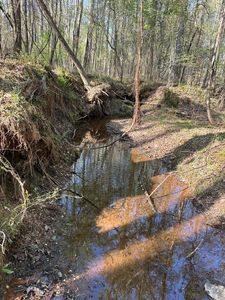LOT19 State Highway 85, Waverly Hall, GA, 31831