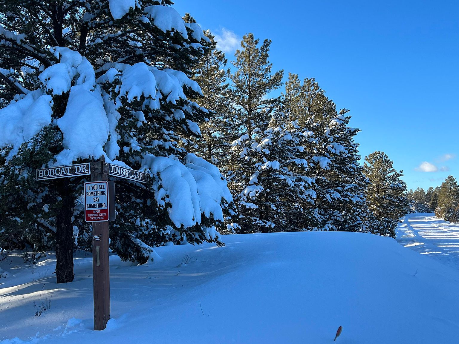 9 Bobcat Dr, Ramah, NM 87321 Zillow